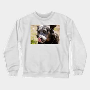 dlb tongue Crewneck Sweatshirt